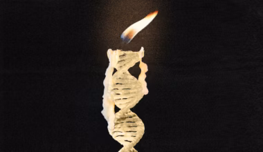 How much do genetics actually dictate how long we live?