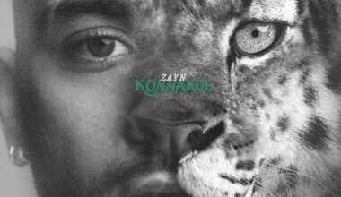 Zayn: KONNAKOL Album Review | Pitchfork