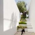 PCG House / Visioarq Arquitectos - Interior Photography, Concrete, Garden, Stairs, Courtyard
