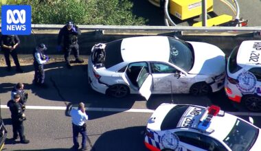 Three men arrested and weapons seized after police chase in Sydney's west