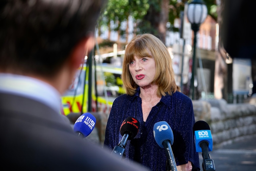 Deborah Willcox speaks to the media.