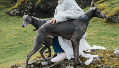 Cecilie Bahnsen x ASICS