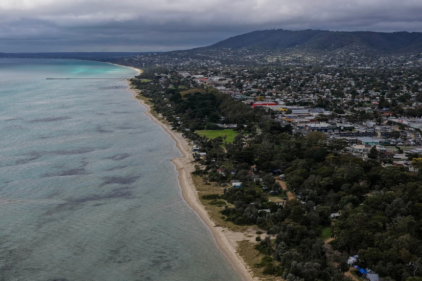 A drone shot shows an aerial image of a suburban landscape near a beach and bay area.