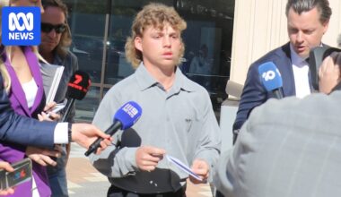 Man accused of killing Labor identity Tim Picton pleads guilty over Kalamunda assault