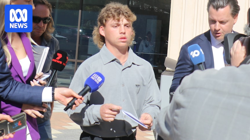 Man accused of killing Labor identity Tim Picton pleads guilty over Kalamunda assault