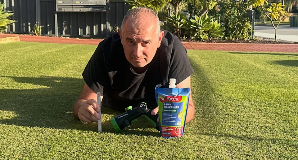 Phil is so obsessed with his lawn that he sometimes breaks out the ruler to measure the blades to ensure they're at the optimum height. Source: Supplied/Phil Gregory