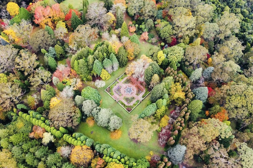 drone shot of garden in autumn.