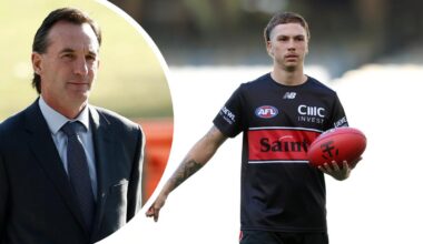 AFL CEO Andrew Dillon hits out at own Appeals Board following St Kilda Lance Collard’s reduced suspension