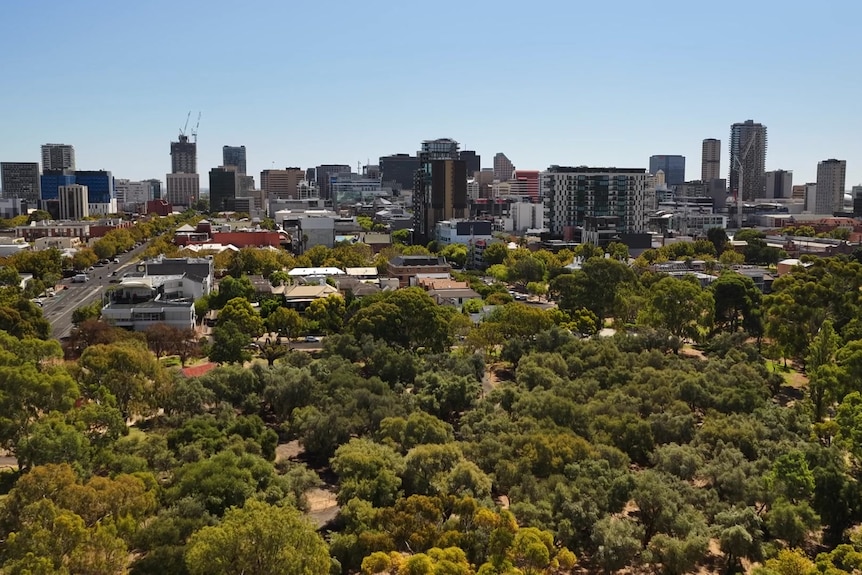 A city skyline with trees in the foreground.