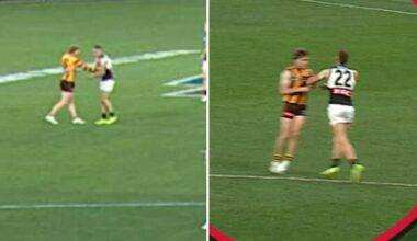 James Sicily and Dylan Moore face nervous waits over gut punches to Logan Evans