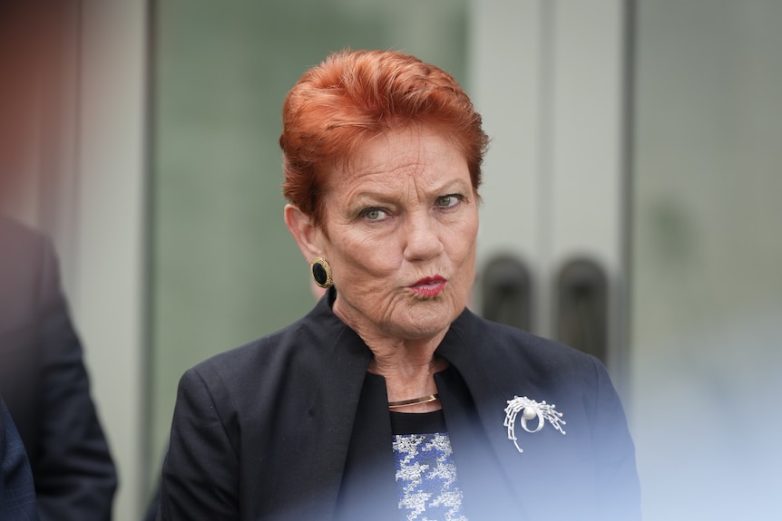 A close up of Pauline Hanson.