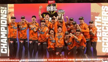 NSW throws at the stumps against BBL privatisation