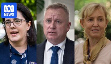 Three Tasmanian MPs share their experiences with mental health and politics