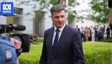 Why Angus Taylor's criticism of high immigration is raising eyebrows