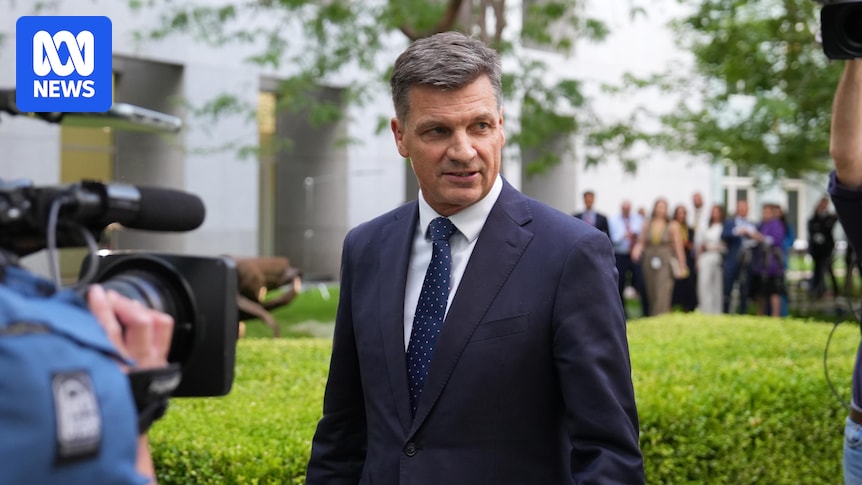 Why Angus Taylor's criticism of high immigration is raising eyebrows