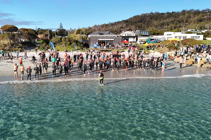 Clear blue waters with hundreds of people and green trees in the background.