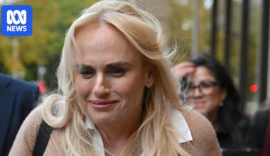 Rebel Wilson requested website describing producer as an 'Indian Ghislaine Maxwell', court hears