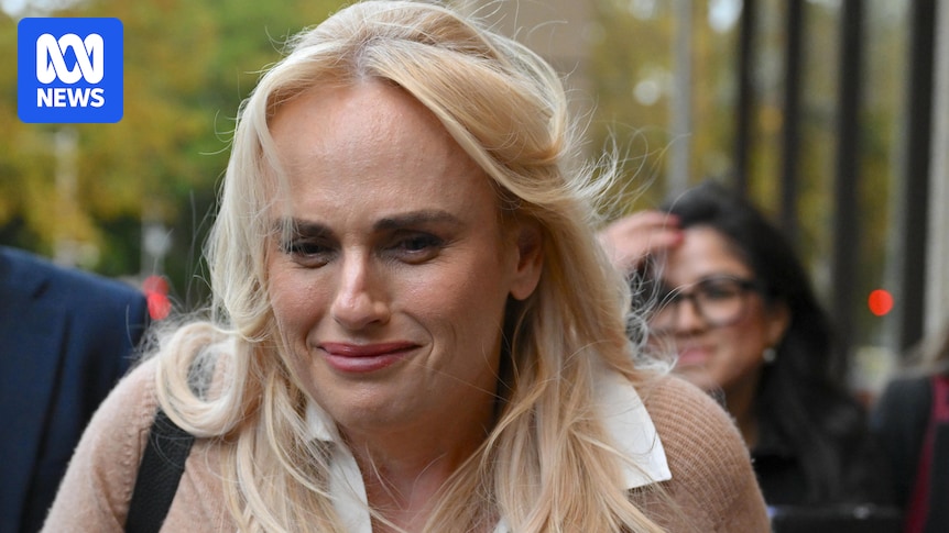 Rebel Wilson requested website describing producer as an 'Indian Ghislaine Maxwell', court hears