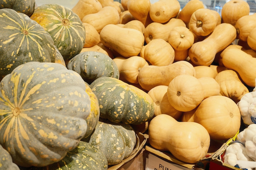 Boxes overflowing with jap and butternut pumpkins.