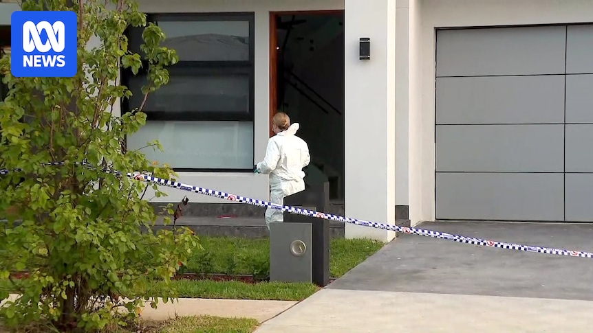 Cage fighter was 'mucking around' when backyard spar near Mount Druitt turned deadly, jury hears