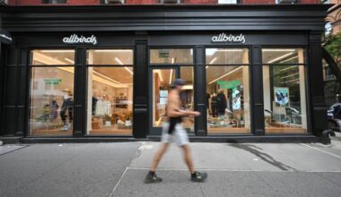 Allbirds shares soar 800% after ditching sneakers for... AI