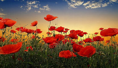 Weekend briefing: US pulls back on some extreme positions