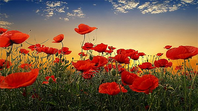 Weekend briefing: US pulls back on some extreme positions