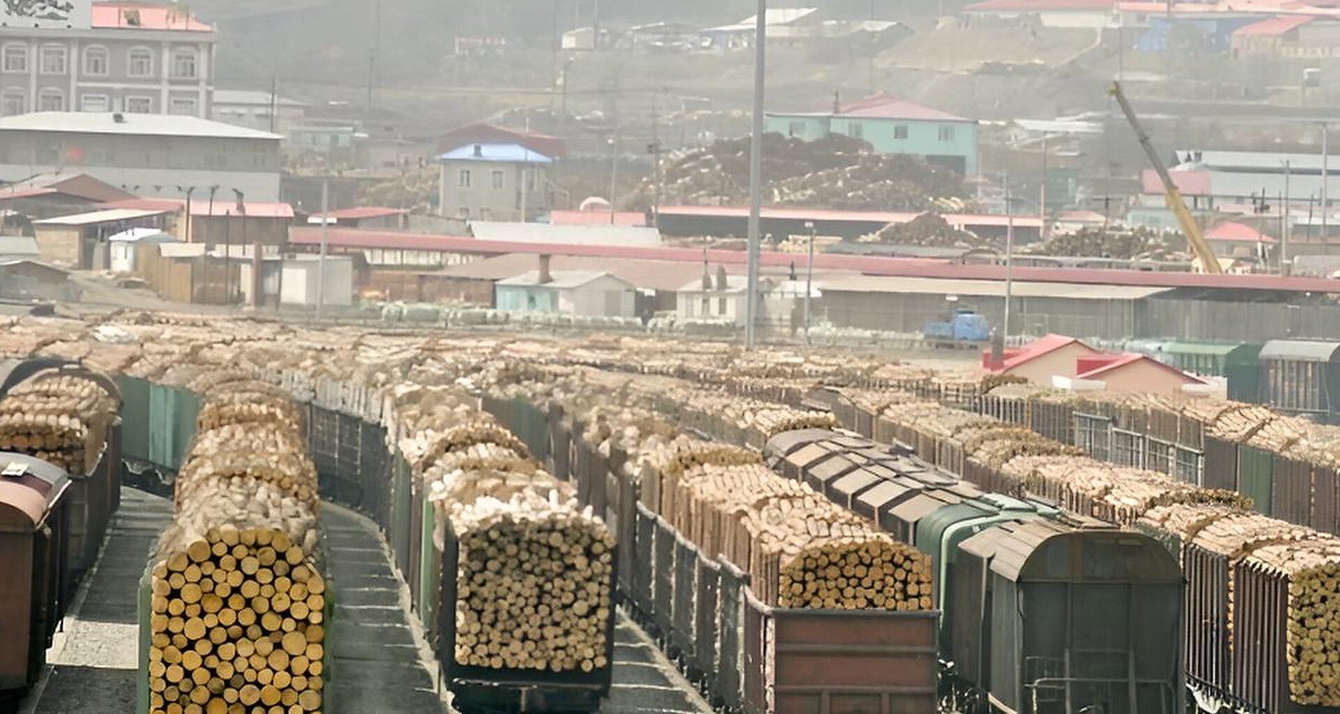 Australia's $3B Timber Habit Is Carbon Laundering in All but Name