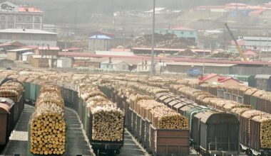 Australia's $3B Timber Habit Is Carbon Laundering in All but Name