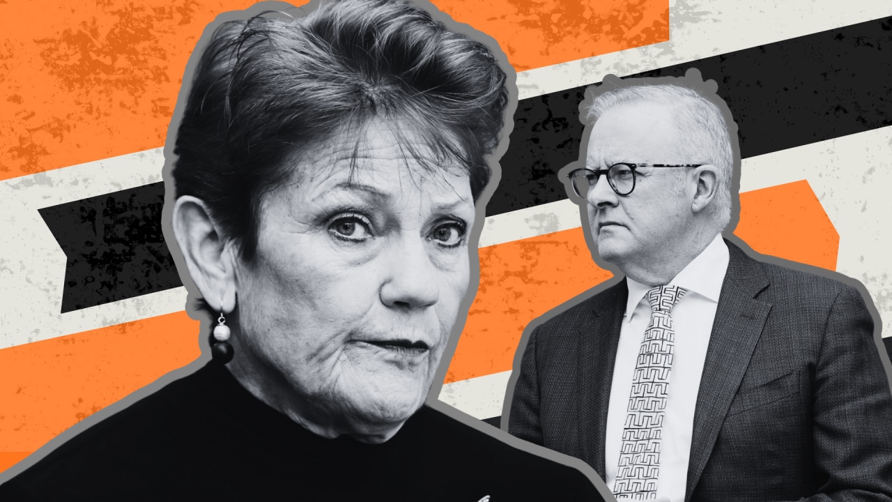 Pauline Hanson's One Nation draws level with Labor on 27 per cent primary vote for first time in Sky News Pulse history