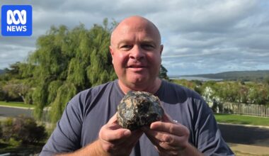 Rare discovery of ambergris on Denmark beach excites scientists and historians