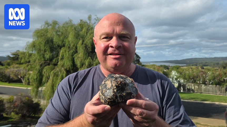 Rare discovery of ambergris on Denmark beach excites scientists and historians