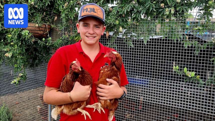 Tamworth teen Max Lye is no chicken in the egg business
