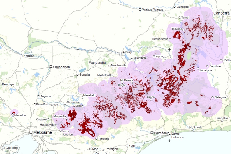 A map showing the distribution of Alpine Ash forests on mainland Australia