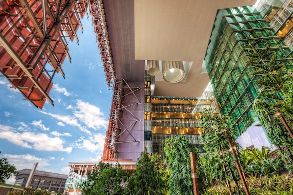 Translational Research Institute: lets the breeze in.