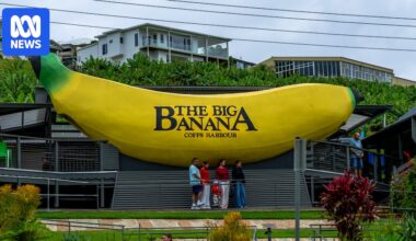 Big Banana graffiti investigated as possible act of hate speech under new laws
