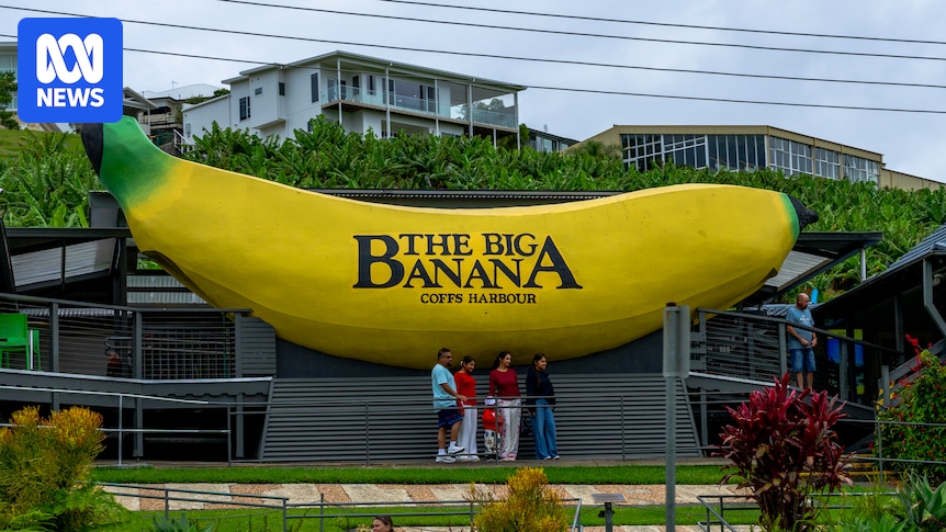 Big Banana graffiti investigated as possible act of hate speech under new laws