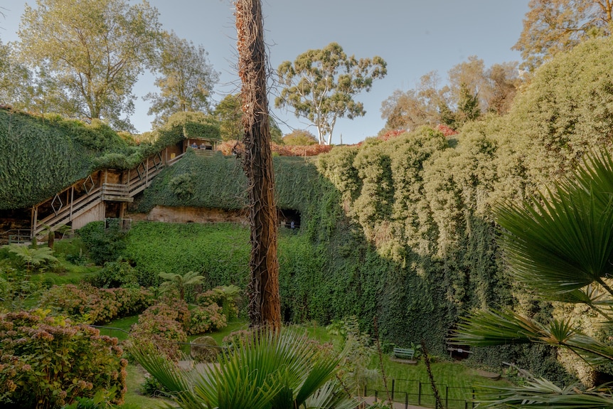A large sinkhole garden. 