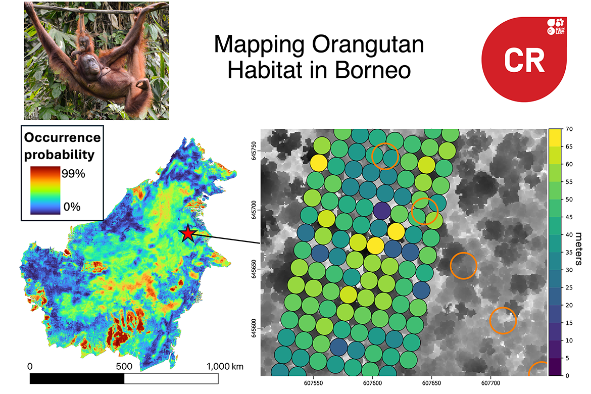 EDGE represents a transformative leap in our ability to model endangered species habitat from space. EDGE's continuous swath mapping is a vast improvement from the current state-of-the-art GEDI spaceborne lidar, which consists of dispersed 25 meter footprints (orange rings).
