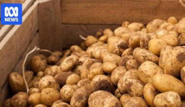 Parilla Premium Potatoes convicted, fined $360k after plane propeller 'severely damaged' employee's arm