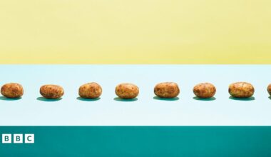 A row of potatoes