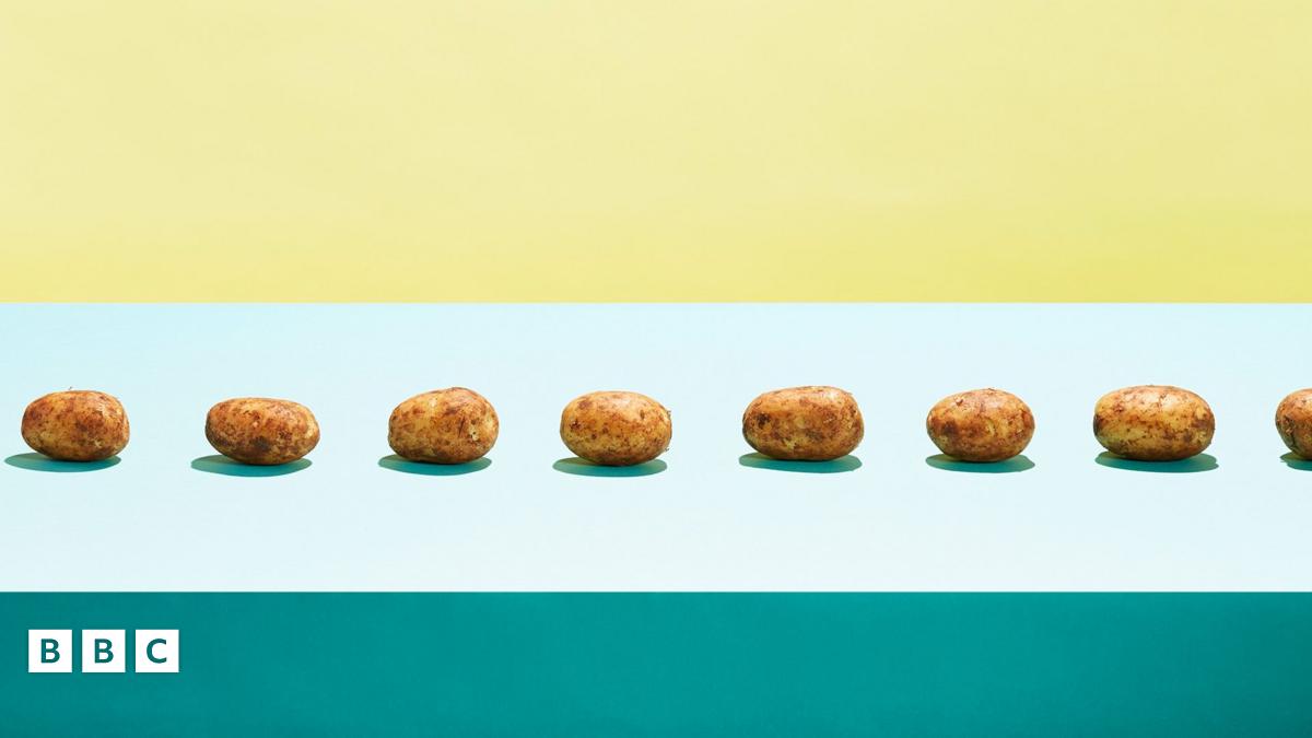 A row of potatoes
