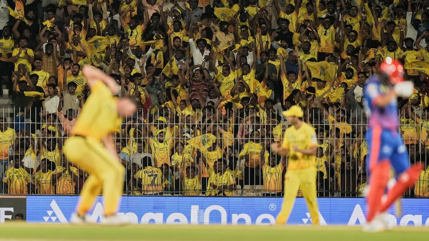 A picture of a bowler celebrating a wicket as a batter walks off, while a big group of fans in yellow cheer in the background.