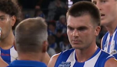 Alastair Clarkson spray to Colby McKercher, video, North Melbourne’s Good Friday win over Carlton, latest news