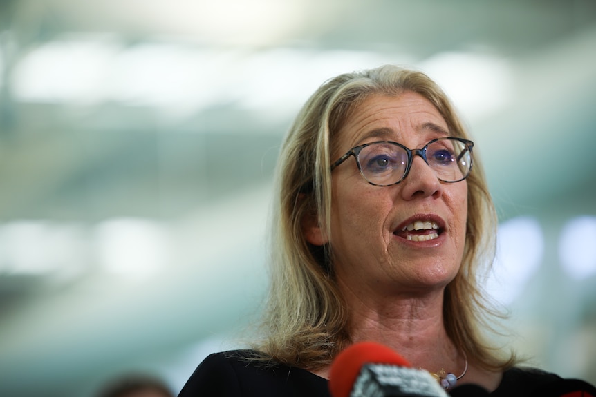 A close-up head shot of Rita Saffioti speaking at a media conference with a blurry background.