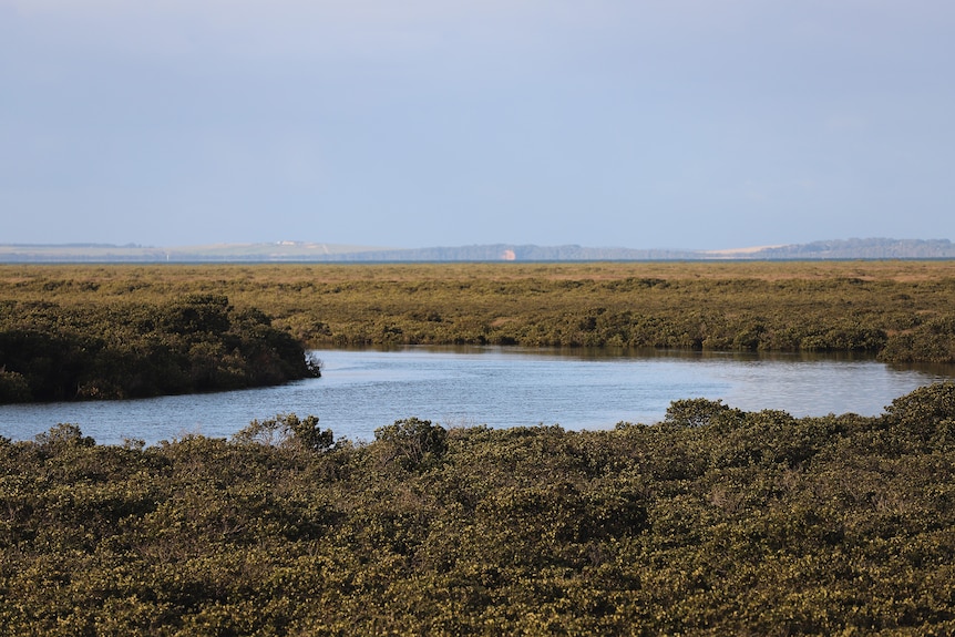 An inlet of water with coastal green scrub with hills in the background and hazy blue sky above.