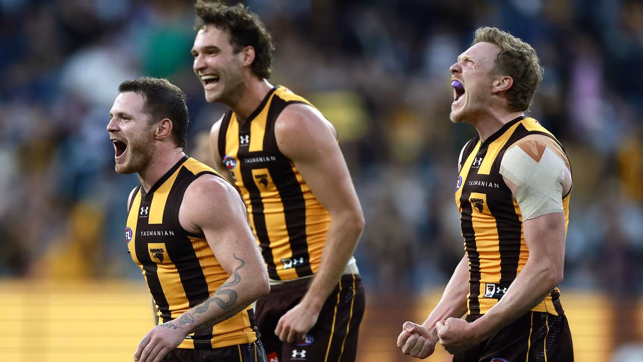 Hawks intent on ending Bulldogs’ unbeaten start to AFL season