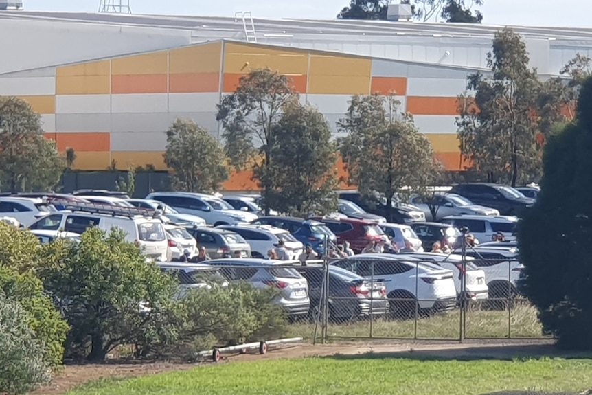 A photo taken from a distance of a long line of people standing in between parked cars.