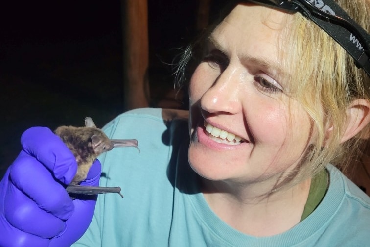 Dr Kolkert wearing a head torch smiles as she holds a microbat smaller than her hand with her fingers.