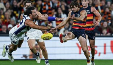 Fremantle Dockers survive almighty scare to defeat Adelaide by two points after late comeback